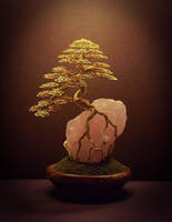 Wire Bonsai tree sculpture made by Steve Bowen