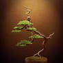 Wire Bonsai Tree Sculpture made by Steve Bowen
