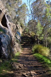 Shady Path Stair II