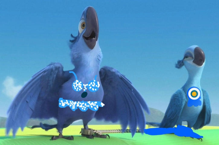 Ridicbird Deviantart Rio Rio by kitchenAllday24 on DeviantArt
