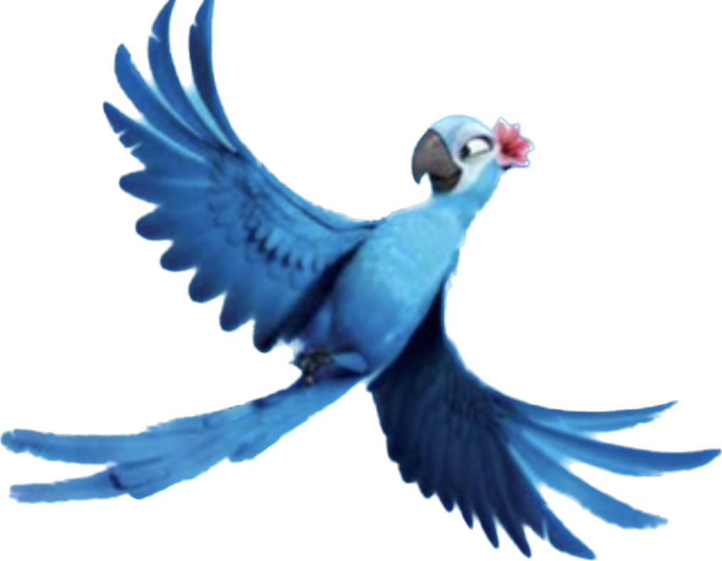 Jewel Pink Flower Rio by kitchenAllday24 on DeviantArt