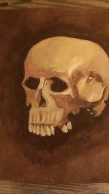 skull acrylic study