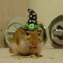 Halloween Witch Hat Gerbil