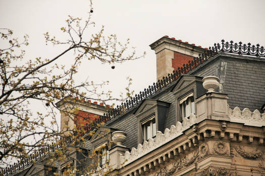 Paris Roof