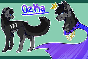 Ozka ref 2019