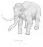 A woolly mammoth (Mammuthus primigenius)