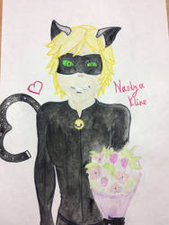 Chat Noir