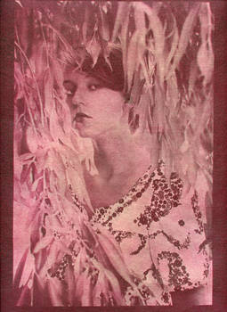 gum bichromate 1