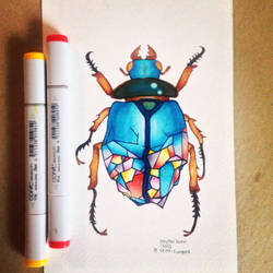 Jewel Beetle