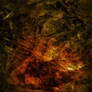 Texture 05