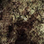 Texture 06