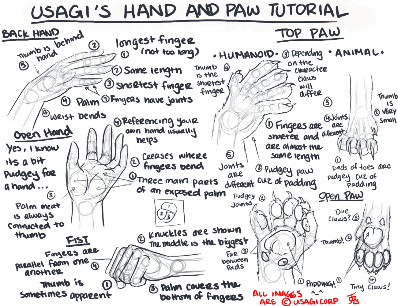AND PAW TUTORIAL:: by UsagiSasami on