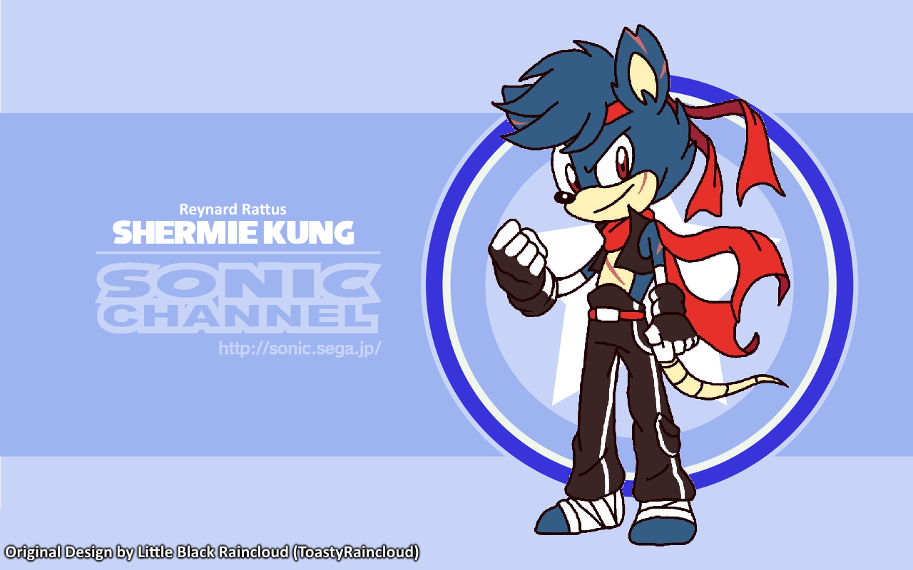 Sonic Sheung - RAE Macau, Perfil profissional