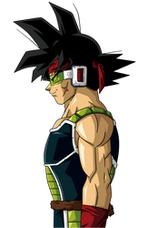 Bardock Perfil