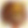 Inflated Golden Cheese Cookie (Cookie Run)