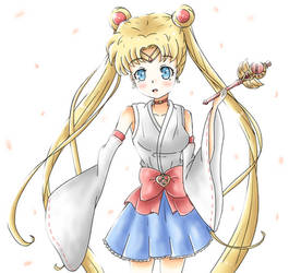 Traditional Sailor Moon