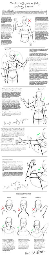 Q+D Anatomy Lessons- Arms and Shoulders