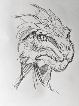 an argonian