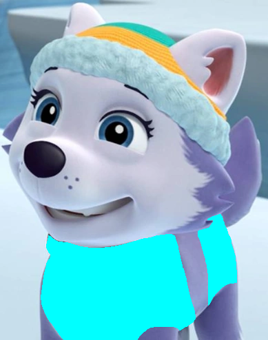 Paw patrol bikini on sale