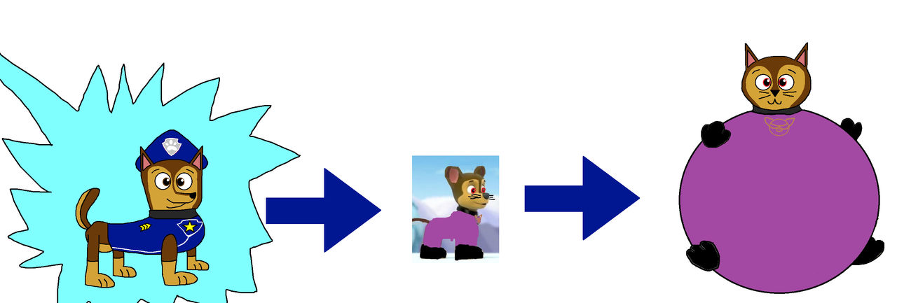 Cat Inflation Animation Chase Who Turns Into A Cat And Inflation by Lahmom2000 on DeviantArt