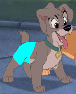 Scamp In Cyan Swimsuit By Lahmom2000 On DeviantArt scamp-in-cyan-swimsuit-by-lahmom2000-on-deviantart