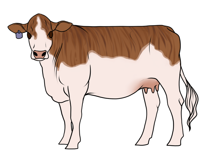 SF || Mimsy by newvoh on DeviantArt