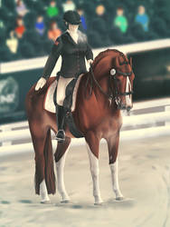 The Fredensborg Royal Dressage Novice - Hanna