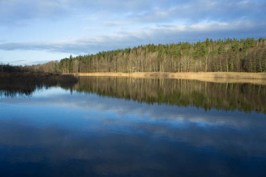 The blue mirror