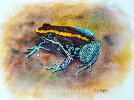 Dyeing poison frog by Robbiecat