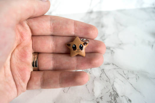 Polymer Clay Eevee Star