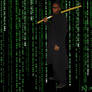 The Matrix Assassin