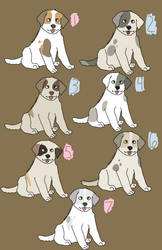 TVR's Great Pyrenees pups - Superheroes - 3 LEFT