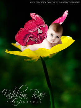 Baby faerie