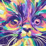 miaw