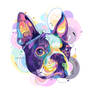 dog III