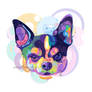 Dog V