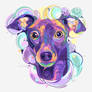 Dog X