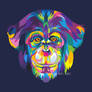 chimpanzee