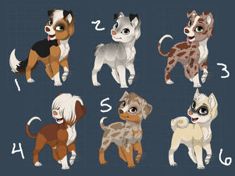 More Free Dog Adoptables 4