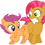MLP: Scootaloo and Babs Seed's blank flank bump