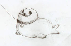 My pet Seal