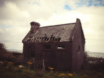 Shingled Shack: Cork