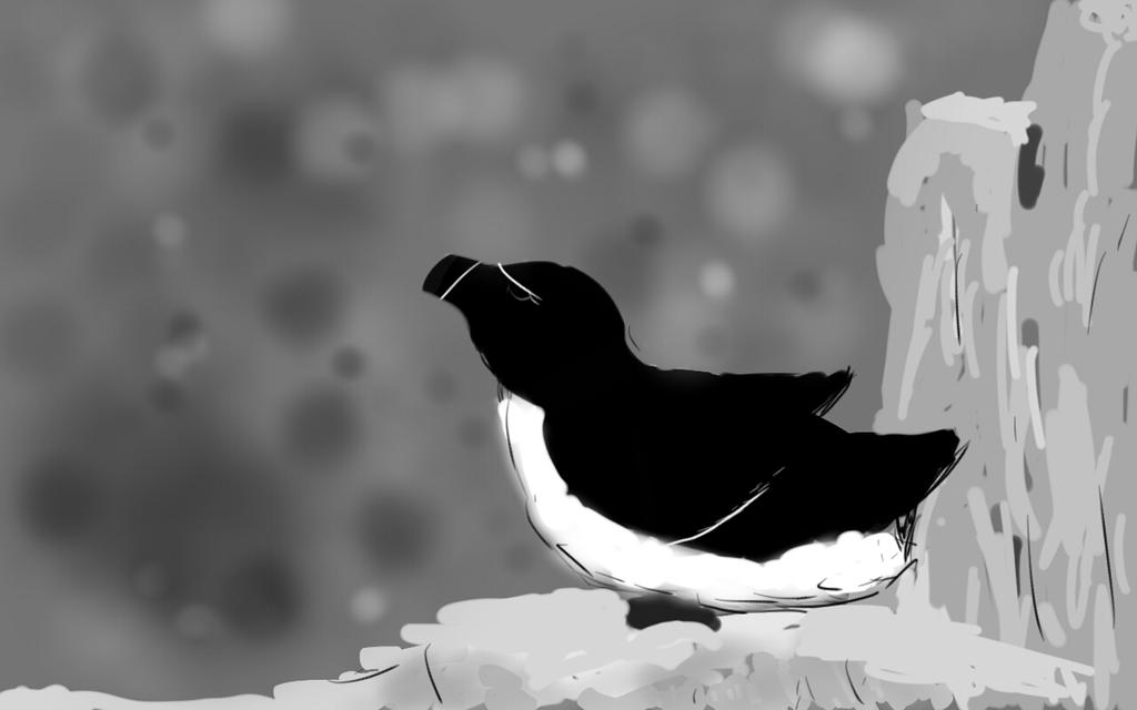 Minecraft Razorbill razorbill by sketchcal on DeviantArt