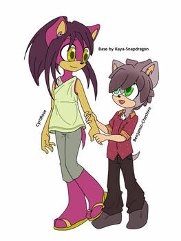 Sonic Shipping Customs (Silver/Amy)