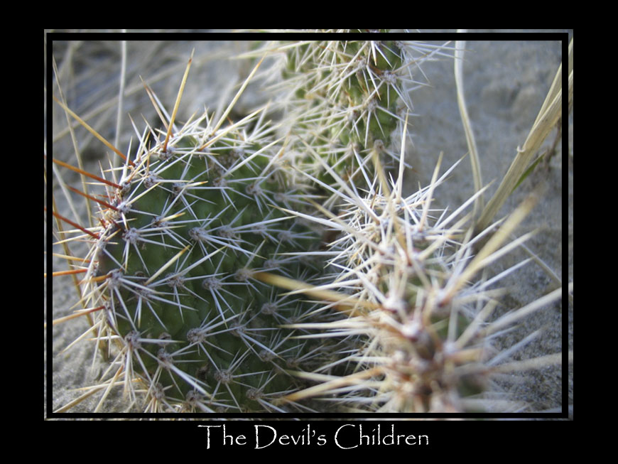 The Devil's Children