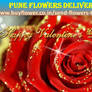 Pune Online Florist | Happy Valentine Day 2016