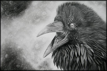 Evil Raven by crunchwing