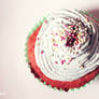Birdseye Cupcake