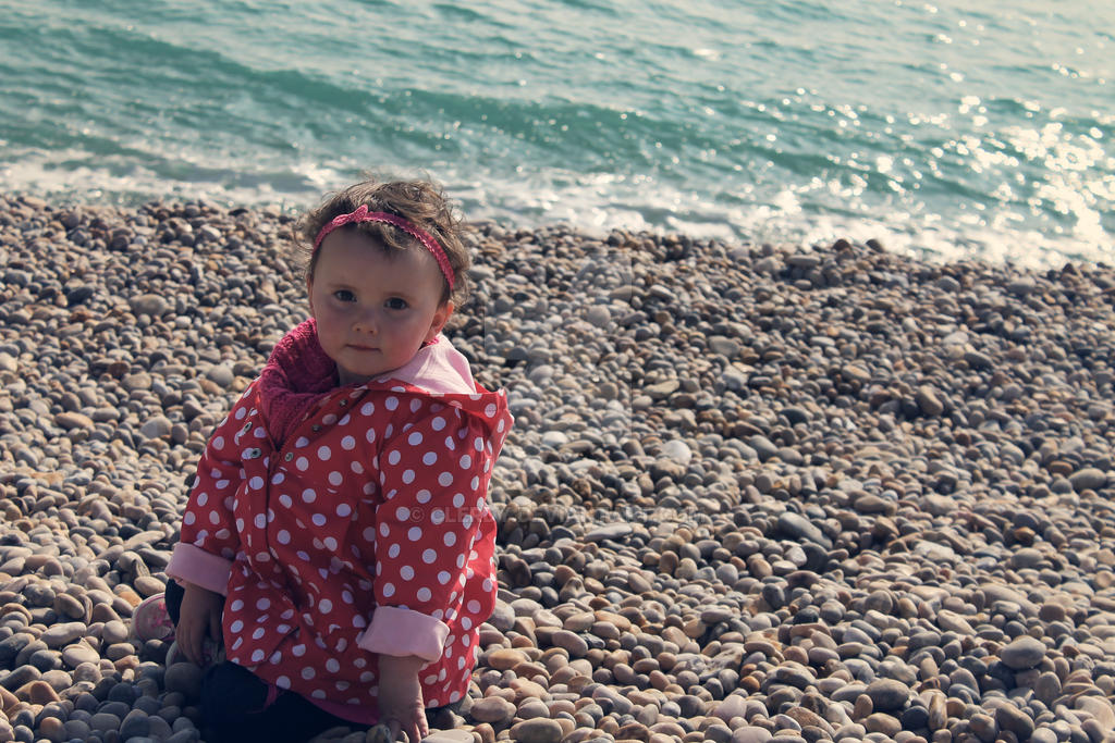 Rose on the Beach