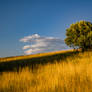 Beautiful Windy Afternoon